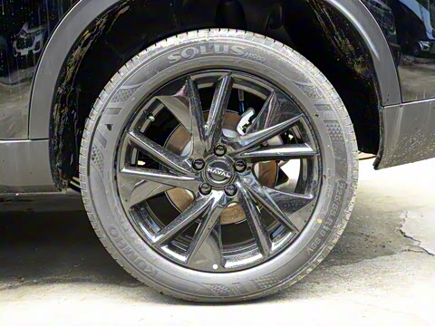 2024�� 2.0T ����Max