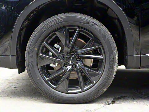 2024�� 2.0T ����Max