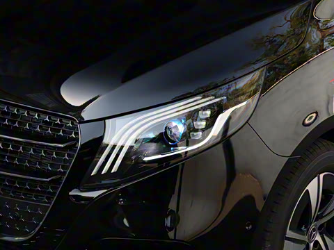 2025�� �������Ȱ�