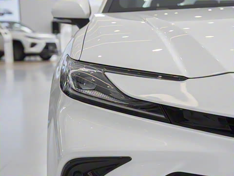 2024�� ˫�� 2.5HXS �˶�Plus��