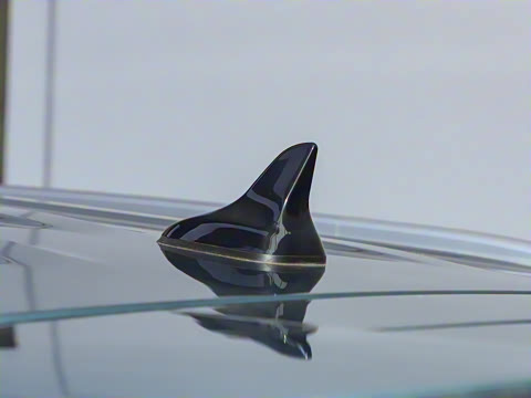 2025�� ����� 125 �캽��