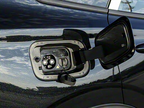 2025�� ������