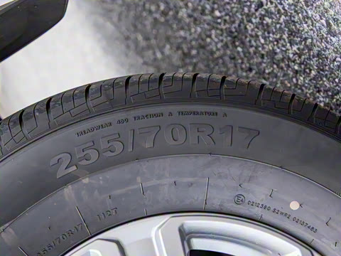 2023�� ɽ�������ֶ��� ����