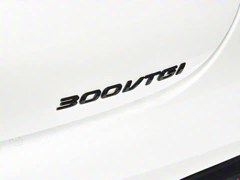 2025�� 1.5T 300 DCT������