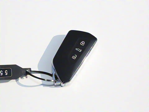 2025�� 300TSI Pro