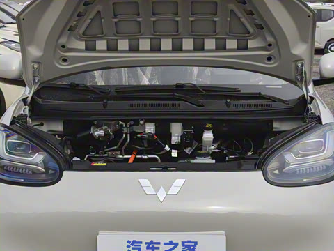 2025�� 333km ������