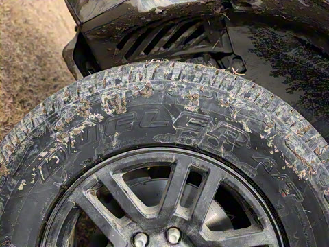 2025�� ��׼��