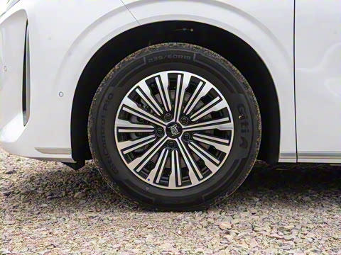 2025�� DM-i 1.5T 100km �캽��