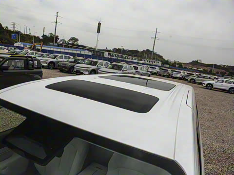 2025�� DM-i 1.5T 100km �캽��