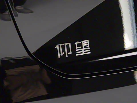 2025�� EV ����������