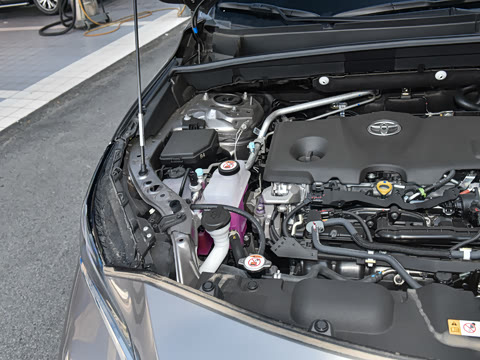 2023�� ˫�� 2.5L CVT����������