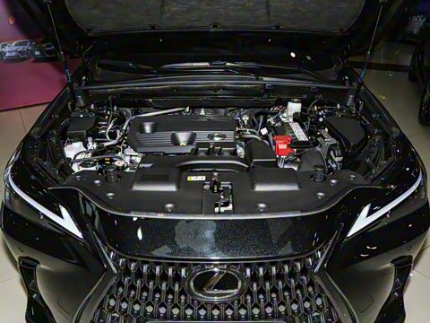 2024�� 260 ǰ�� ���۰�