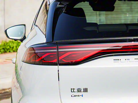 2025�� DM-i 115KM �����