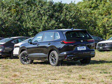 2025�� 240TURBO ������Ӣ�� 5��