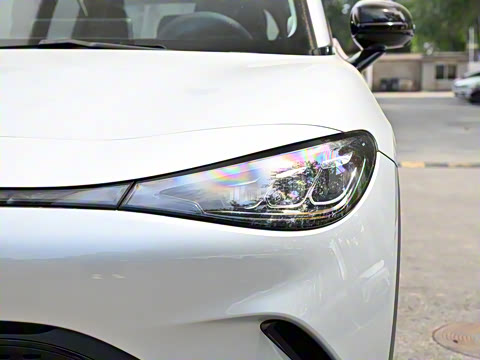 2024�� �Ͷ���������