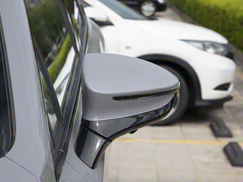 2025�� DM-i 115KM ������