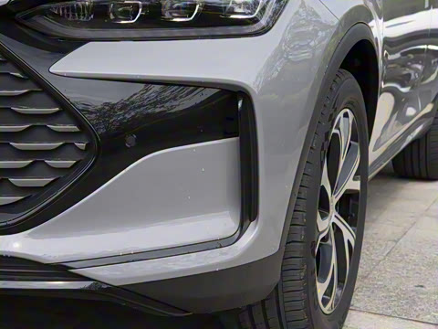 2025�� DM-i 115KM ������