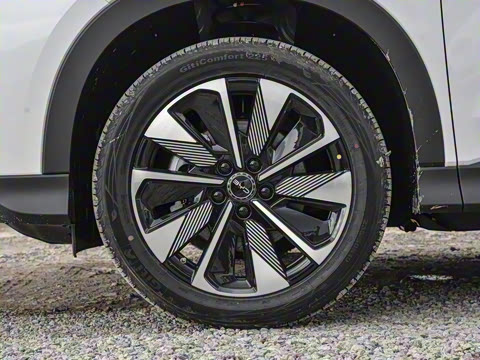 2025�� EV 520km ������