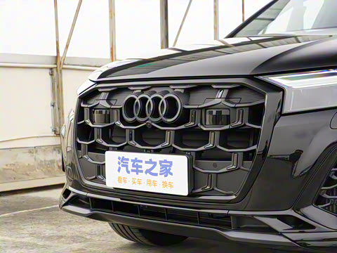 2025�� 55 TFSI quattro S line��ѩ�˶���