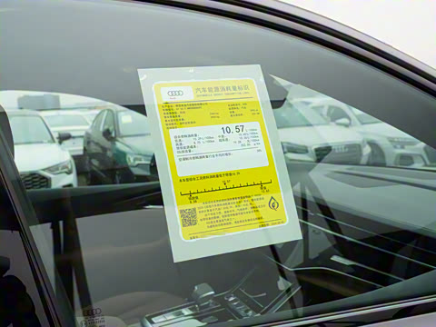 2025�� 55 TFSI quattro S line��ѩ�˶���