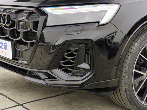 2025�� 55 TFSI quattro S line��ѩ�˶���