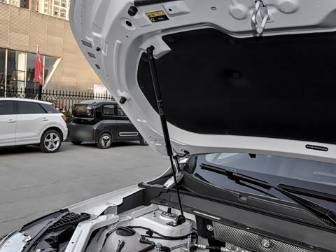 2024�� 1.5T CVT���»�����