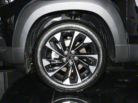 2023�� 2.5L ���а�