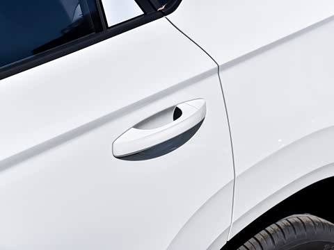 2025�� 280TSI �Զ�����Plus��