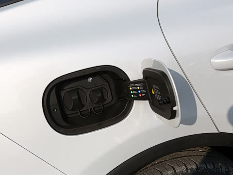 2025�� DM-i 115KM ������