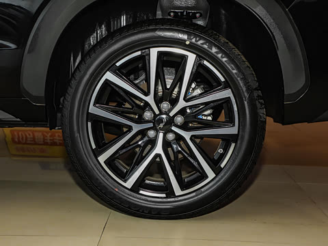 2024�� 1.5TGDI DCT�ǼҰ� 5��