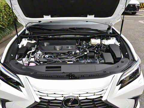 2025�� 300h ������