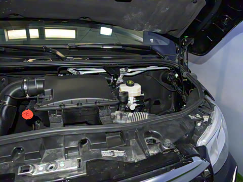 2024�� 2.0T ʥķ��MST