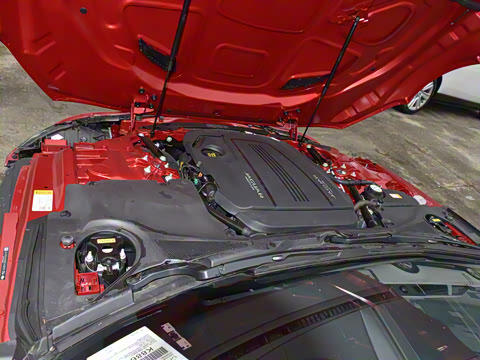 2024�� P300 75������Ӳ����