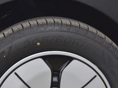 2025�� 310km �ഺ��