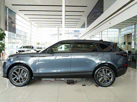 2025�� Dynamic SE