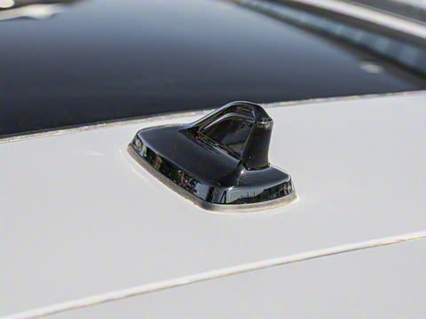 2025�� ������