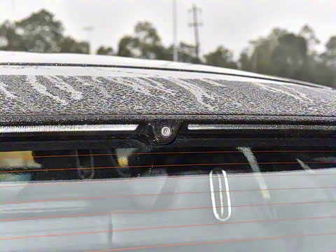 2024�� Max���������