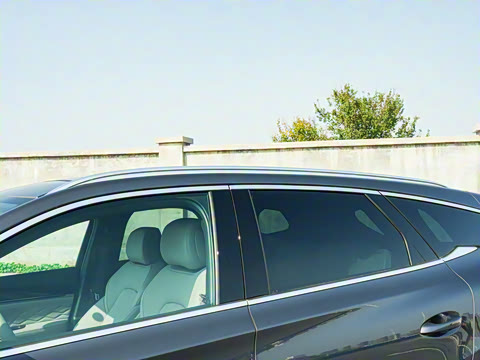 2025�� DM-i 115KM ������