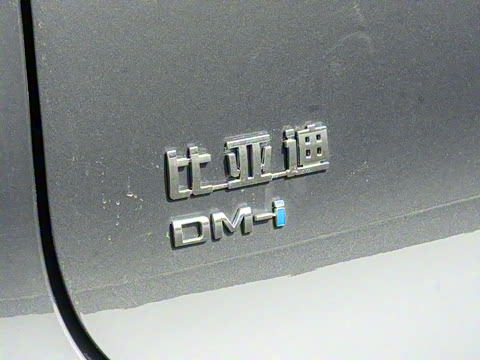 2025�� DM-i 115KM ������