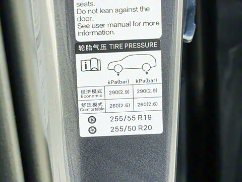 2025�� DM-i 115KM ������