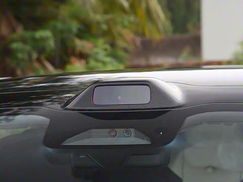 2025�� Max�����