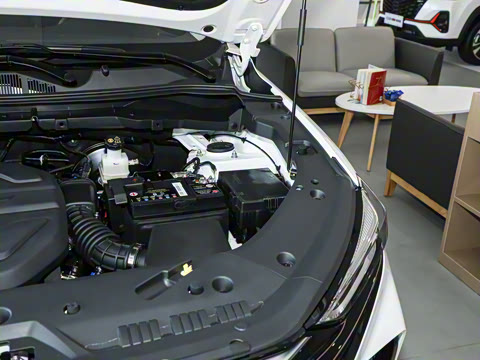 2024�� 1.5T �Զ������ 7��