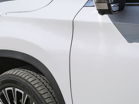 2025�� 300T �������߰�