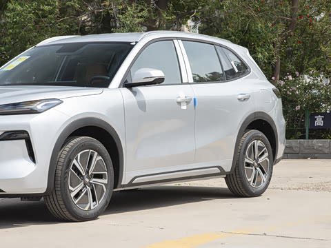 2025�� 55km ������