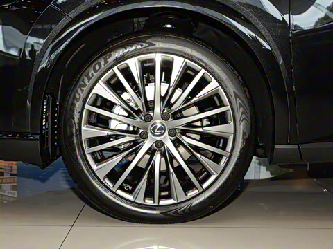 2025�� 350h ����������