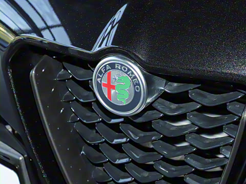 2024�� 2.0T 280HP Dragon Edition �����޶���