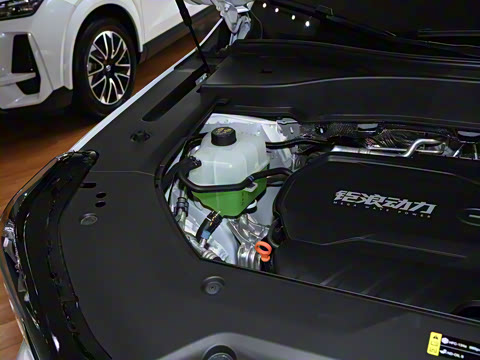 2025�� �캽ϵ�� 2.0TGDI ���������� 5��