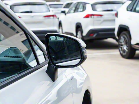 2024�� 2.5L���ܵ��˫�� ����������