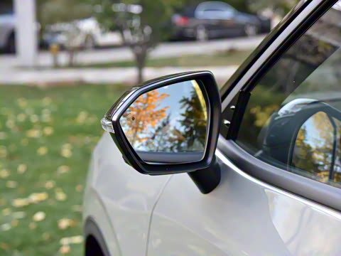 2025�� ������PLUS