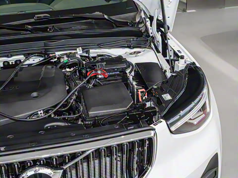 2024�� B3 ��Զ������